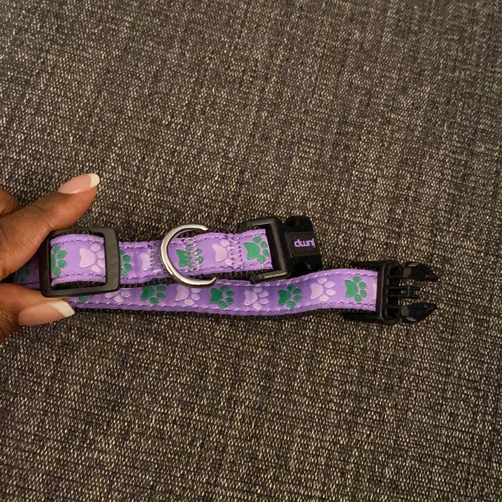 Small dog collar